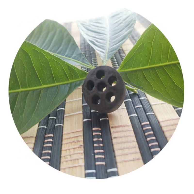 Hydrocarbon Steam Reforming Catalyst DZC-28Q